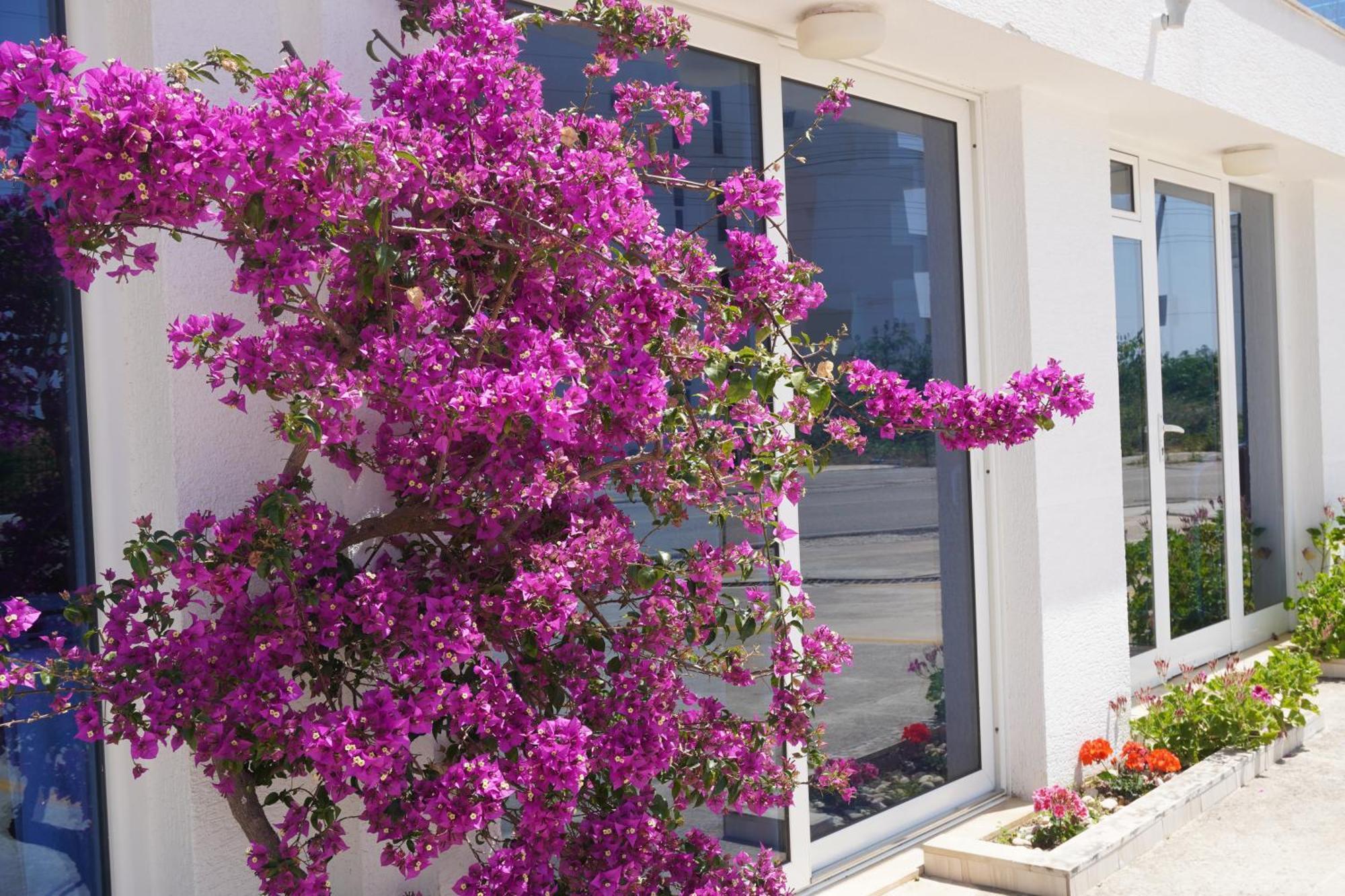 Hotel Agel Sarande Exterior photo